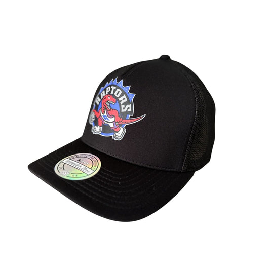 Toronto Raptors NBA Mitchell & Ness Trucker Snapback Cap with Round Brim - Soul and Sense Streetwear